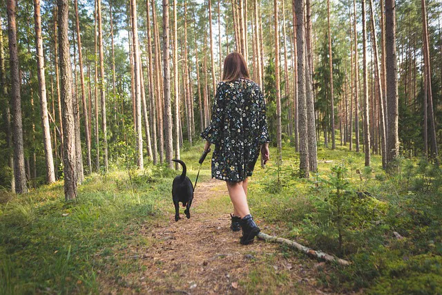 Woman walking her dog through a sunlit pine forest in Pennsylvania